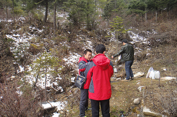 Balijia Gold Mine Census